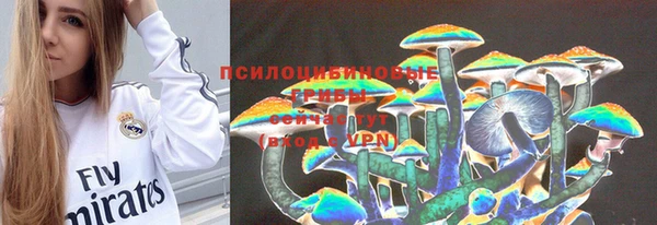 тгк Рославль