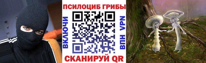 купить закладку  Новоаннинский  Галлюциногенные грибы Magic Shrooms 